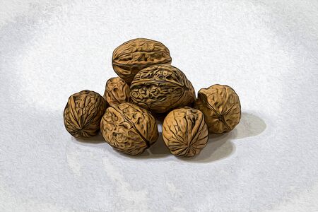 Walnuts composition in a white background illustration