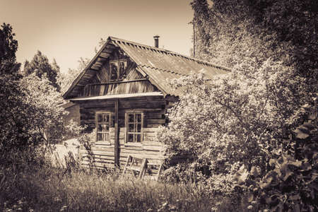 abandoned house in the forestの写真素材