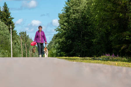 Russia, Mshinskaya - 11 July 2020: countryside, a woman walks along the road and leads her dog on a leashのeditorial素材