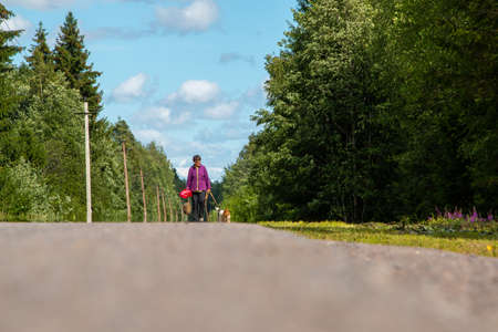 Russia, Mshinskaya - 11 July 2020: countryside, a woman walks along the road and leads her dog on a leashのeditorial素材