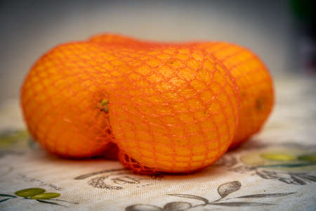 oranges are on the tableの写真素材