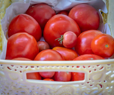 tomatoes lie in a white bowlの写真素材
