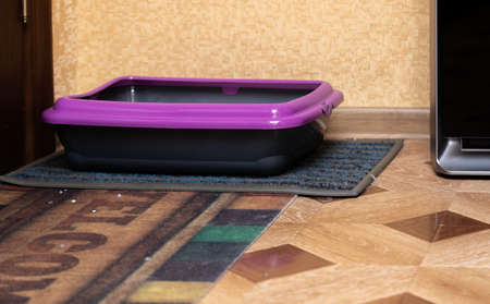 a cat litter box is standing on a floorの写真素材