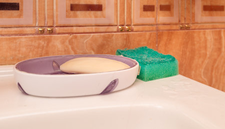 a soap dish with soap and a green dishwashing sponge are on the sink