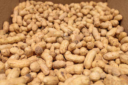 a lot of peanut on the counter of the storeの写真素材