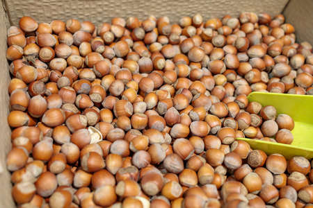 a lot of hazelnuts on the counter of the store