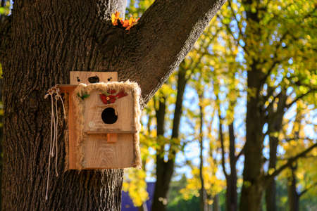 wooden birdhouse for birds set on tree in parkの写真素材