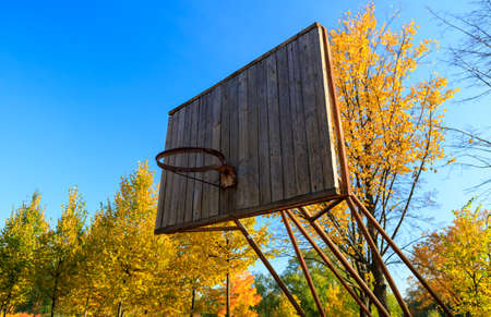 old basketball hoop on a background of autumn trees and blue sky, park, sunny dayの写真素材