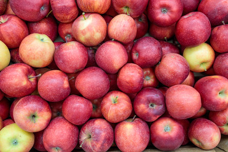 juicy red apples on the store counterの写真素材