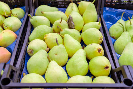 juicy green pears on the store counterの写真素材