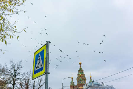 October 30, 2021, Russia, St. Petersburg: pedestrian crossing sign with a church and birds flying across the skyのeditorial素材