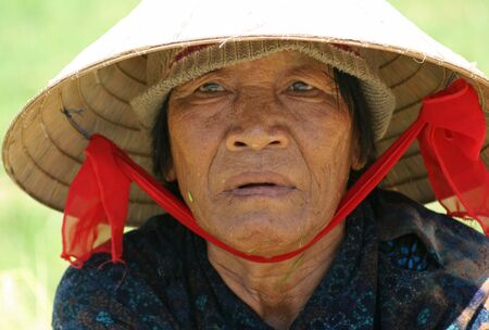 My Lai, Vietnam, August 25, 2008 - Woman working in ricefieldのeditorial素材