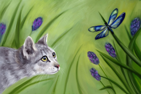 Picture of a cat hunting in nature in the forest. Insect dragonfly. Green glade, grass, wild flowers.の写真素材