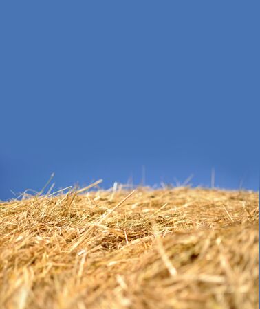 Detail of a bale of hay with blue skyの写真素材