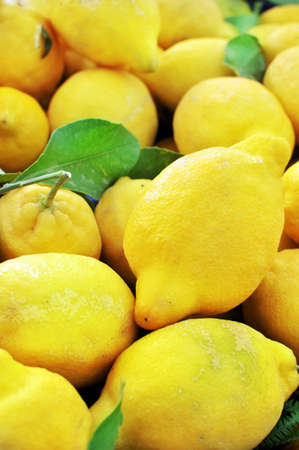 Detail box of lemons in a marketの写真素材