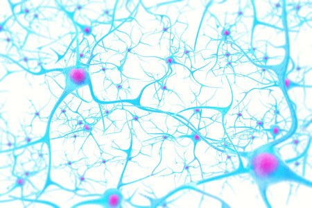 Neurons in the brain on white background with focus effect 3d illustrationの写真素材