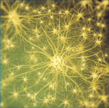 Neural network, brain cells, nervous system 3d illustrationの写真素材