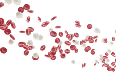 Red and white blood cells isolated on white background. Medical concept, 3d illustrationの写真素材
