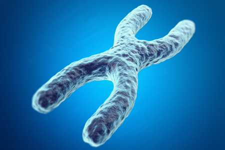 X Chromosome on blue background with focus effect, scientific concept. 3d illustrationの写真素材