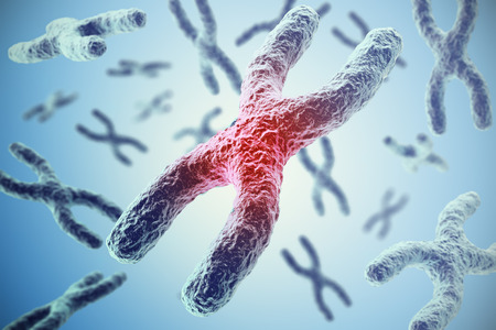 Chromosomes on blue background, scientific concept 3d illustrationの写真素材