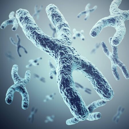 X-chromosomes as a concept for a human biology as a medical symbol for gene therapy or microbiology genetics research. 3d illustrationの写真素材