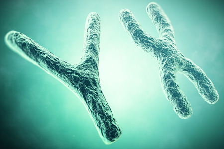 Y Chromosome in the foreground, a scientific concept. 3d illustration.の写真素材