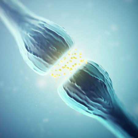Synapse and Neuron cells sending electrical chemical signals. 3d rendering.の写真素材