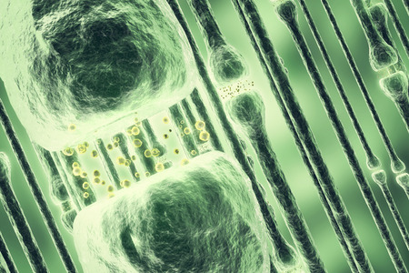 Illustration of an active receptor isolated on white background. 3d renderingの写真素材