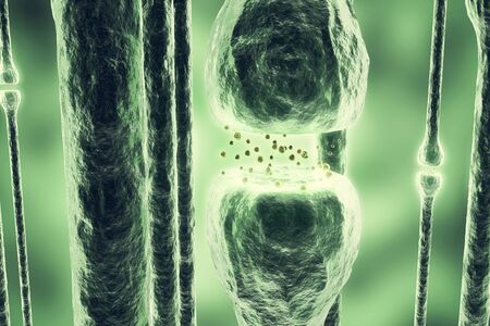 Synaptic transmission, human nervous system, 3d renderingの写真素材