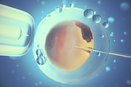 3D Illustration of artificial insemination or in-vitro fertilization of an egg cell,ovum or zygote, Concept, scientific experimentの写真素材