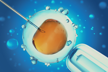3D Illustration of artificial insemination or in-vitro fertilization of an egg cell,ovum or zygote. Concept, scientific experimentの写真素材