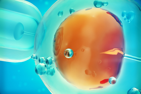 Close-up view 3D illustration Glass needle fertilizing sperm injection in female egg, Concept, scientific experimentの写真素材