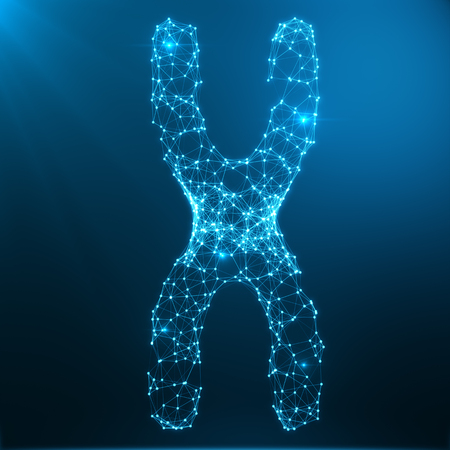 X-Chromosome Concept for Human Biology Medical Symbol Gene Therapy or Microbiology Genetics Research Composed of polygons. Low poly Illustration Consists of Lines, Dots and Shapes. 3D Renderingの写真素材