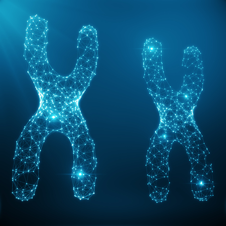 XX-Chromosome Concept for Human Biology Medical Symbol Gene Therapy or Microbiology Genetics Research Composed of polygons. Low poly Illustration Consists of Lines, Dots and Shapes, 3D Renderingの写真素材