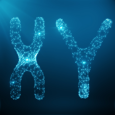 XY-Chromosome Concept for Human Biology Medical Symbol Gene Therapy or Microbiology Genetics Research Composed of polygons. Low poly Illustration Consists of Lines, Dots and Shapes. 3D Renderingの写真素材