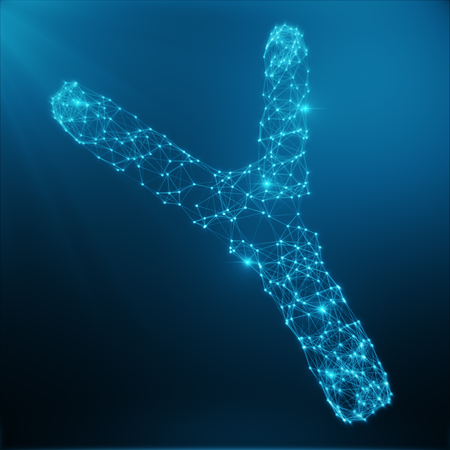 Y-Chromosome Concept for Human Biology Medical Symbol Gene Therapy or Microbiology Genetics Research Composed of polygons. Low poly Illustration Consists of Lines, Dots and Shapes. 3D Renderingの写真素材