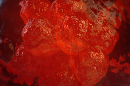 3D illustration Early stage embryo, Stem cell research, Morula. Human or animal cells. Medicine scientific conceptの写真素材