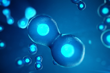 Human or animal cells on blue background. Concept Early stage embryo Medicine scientific concept,...