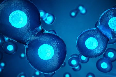 Human or animal cells on blue background. Concept Early stage embryo Medicine scientific concept, Stem cell research and treatment. 3D illustration.の写真素材