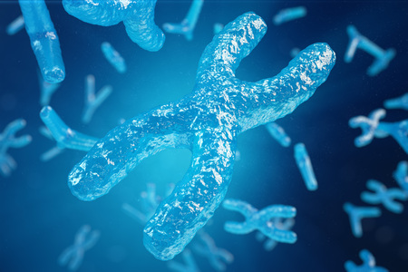 3D illustration XY-chromosomes as a concept for human biology medical symbol gene therapy or microbiology genetics researchの写真素材