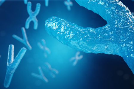 3D illustration XY-chromosomes as a concept for human biology medical symbol gene therapy or microbiology genetics researchの写真素材