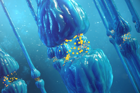 Synaptic transmission, human nervous system. Brain synapses. Transmission synapse, signals, impulses in the brain, information transfer at the cellular or atomic level. 3D renderingの写真素材