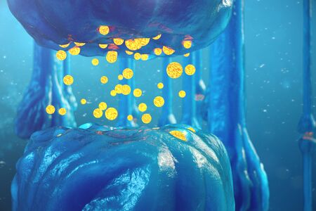 Synaptic transmission, human nervous system. Brain synapses. Transmission synapse, signals, impulses in the brain, information transfer at the cellular or atomic level. 3D renderingの写真素材