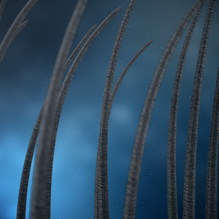 3D Rendering hair care. Treatment and care of hair. Hair under microscopic close-up view.の写真素材