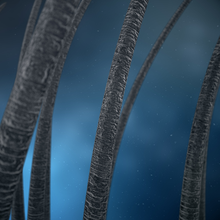 3D Rendering hair care. Treatment and care of hair. Hair under microscopic close-up view.の写真素材