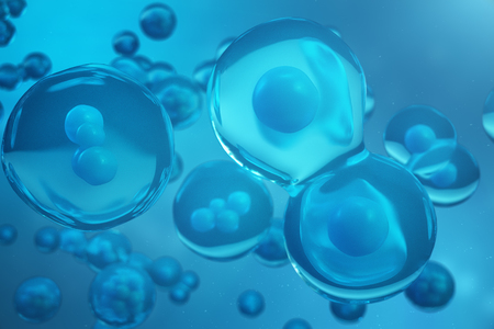 3D Rendering human or animal cells on blue background. Concept Early stage embryo Medicine scientific concept, Stem cell research and treatment.の写真素材