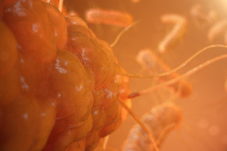 3d Illustration viruses, bacteria, cell infected organism, decreased immunity. Virus abstract...