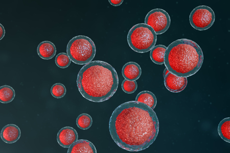 3D illustration egg cells embryo. Embryo cells with red nucleus in center. Human or animal egg cells. Medicine scientific concept. Development living organism at the cellular level under microscope.の写真素材