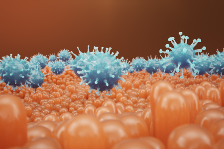 Intestinal villi, mucosa intestinal. Bacteria and microbes in intestines. Microscopic villi and capillary. Human intestine, chronic disease. Hepatitis viruses, influenza, cell infections, 3D Renderingの写真素材