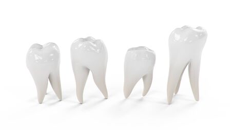 3d illustration Healthy teeth isolated on white background. Set of teeth. The concept of toothbrushing, care and protection against caries. Oral care, teeth whiteningの写真素材